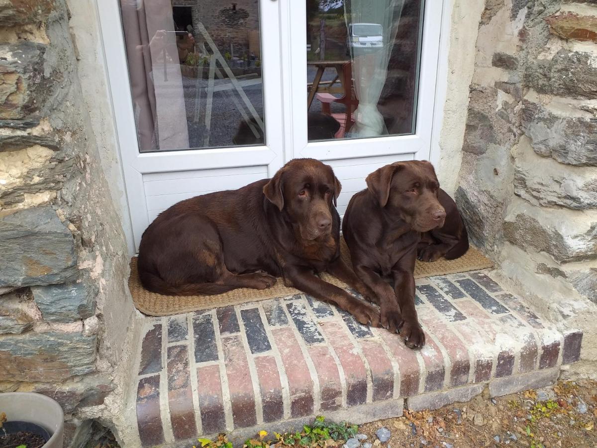 La Petite Houssaye Bed & Breakfast Villiers-Fossard ภายนอก รูปภาพ